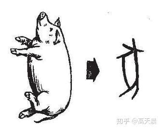 豬字|猪（汉语汉字）